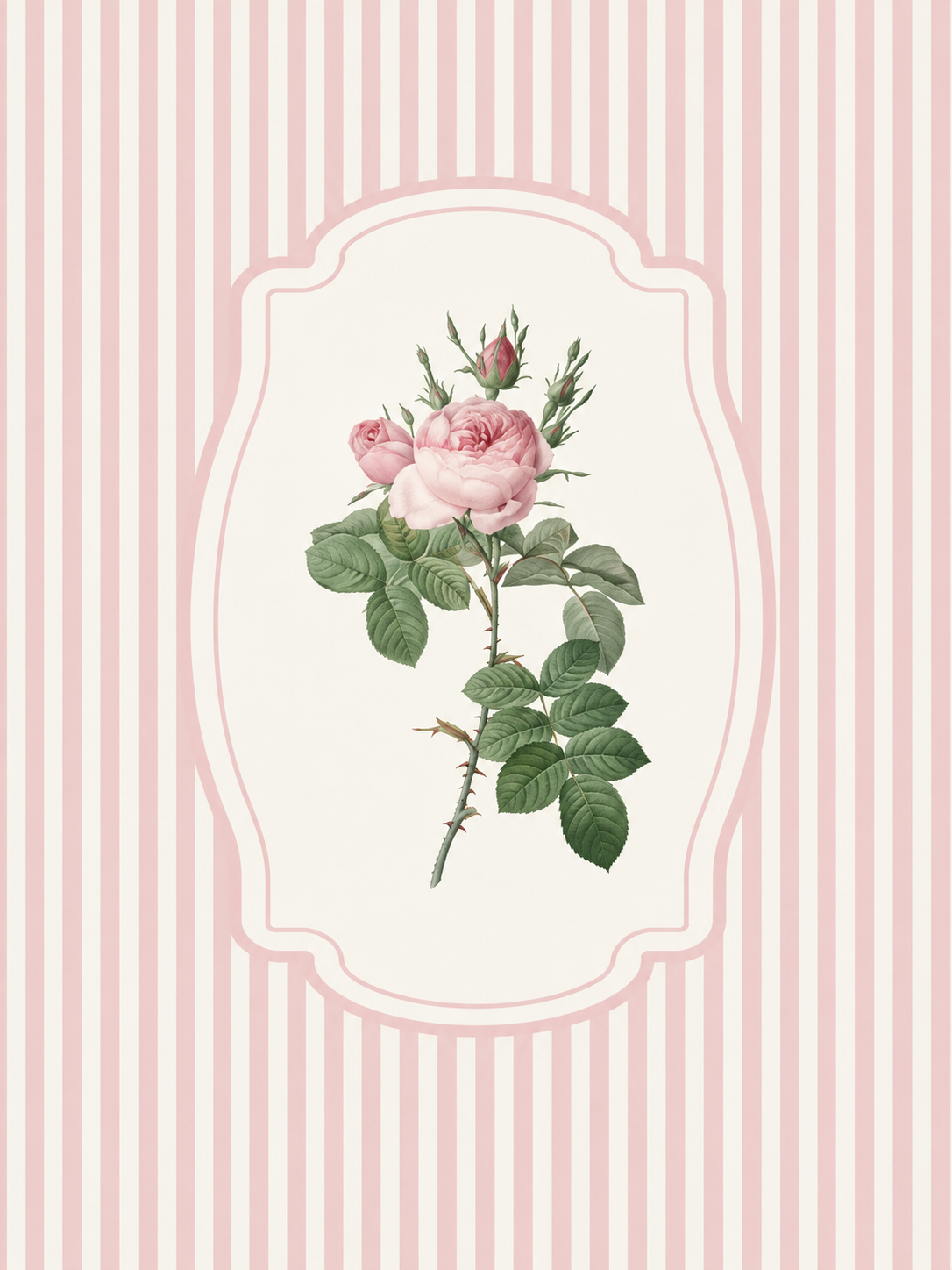 Rosa Vintage 110