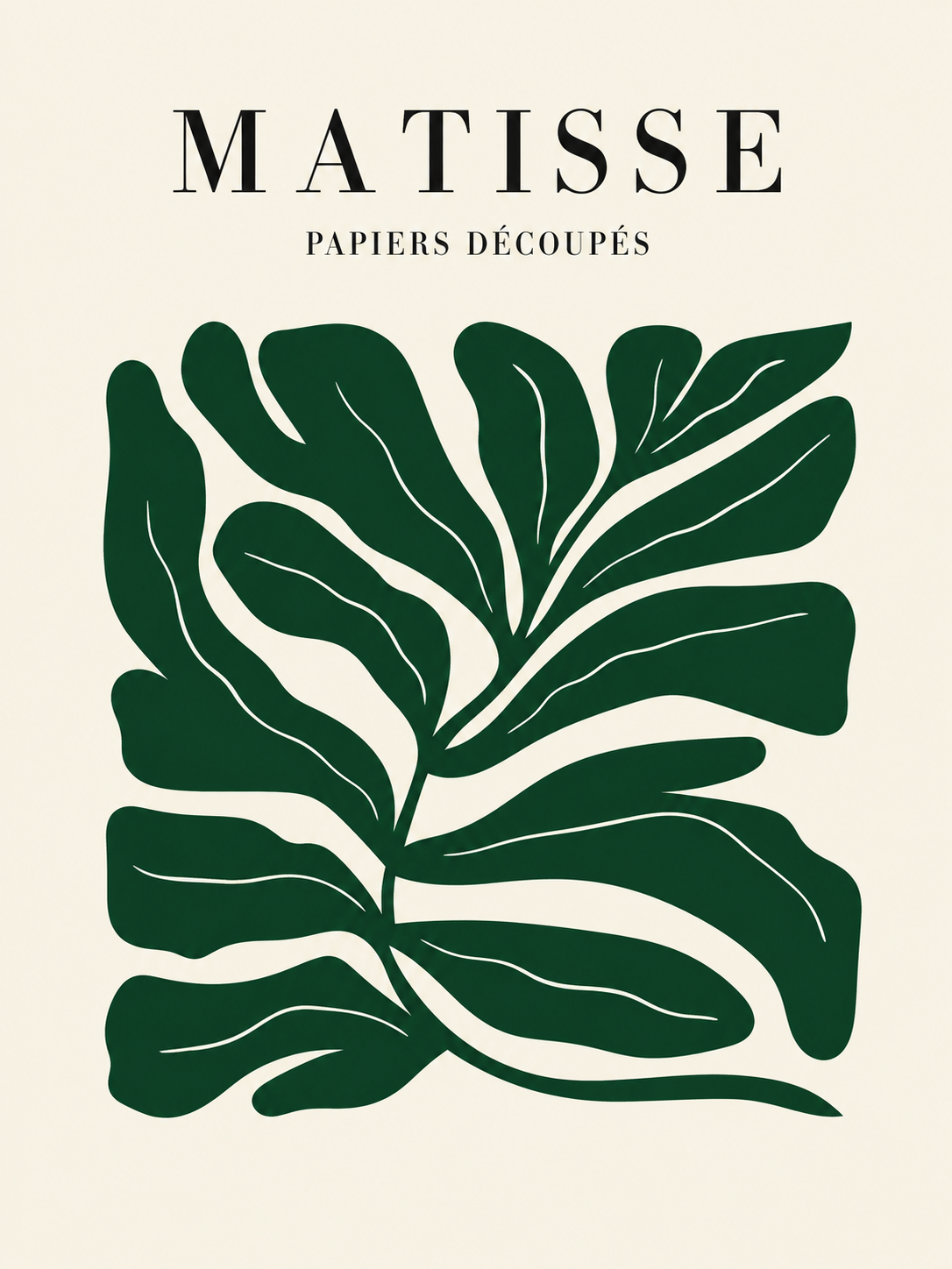 Matisse #107