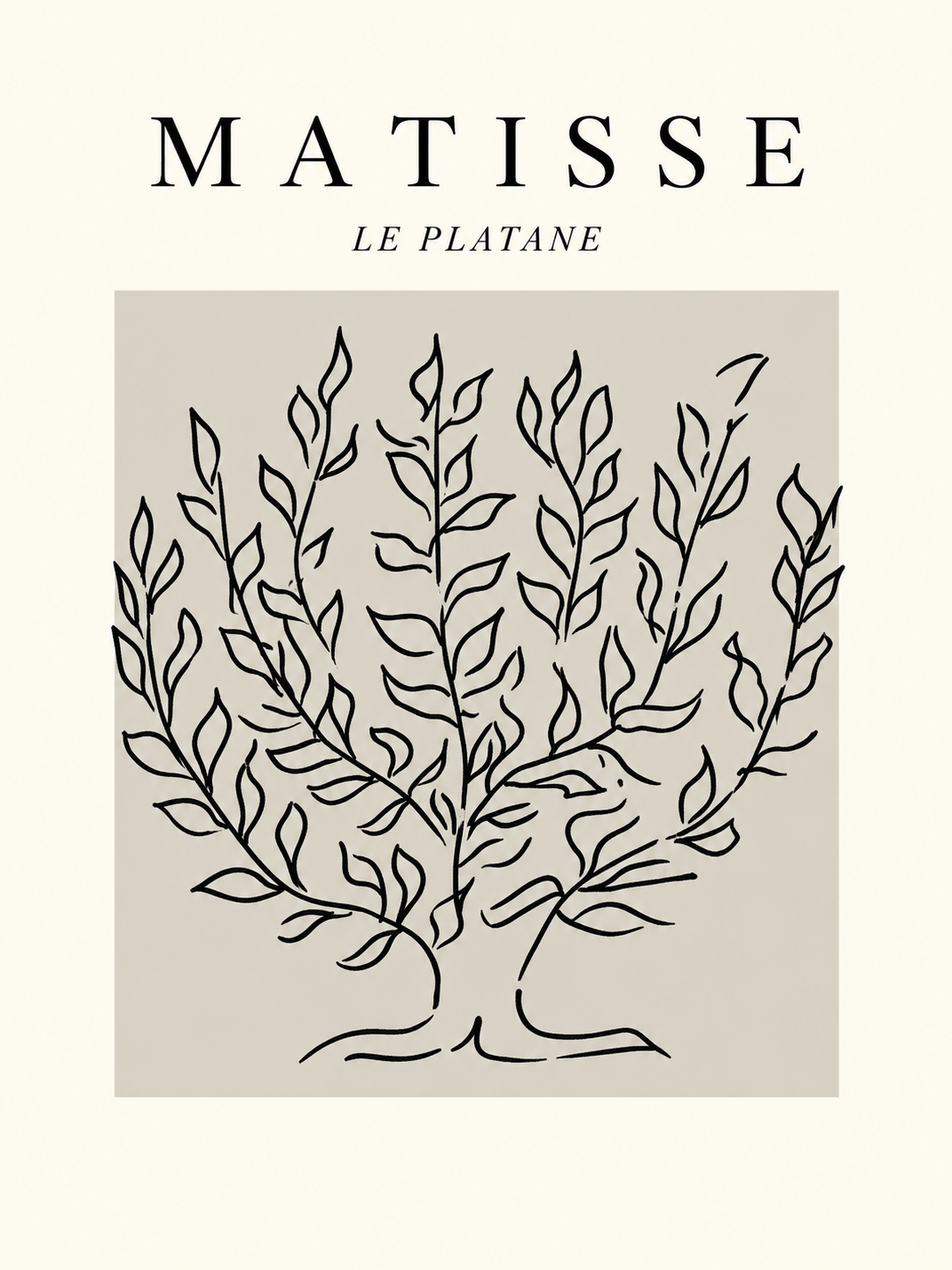 Matisse #134