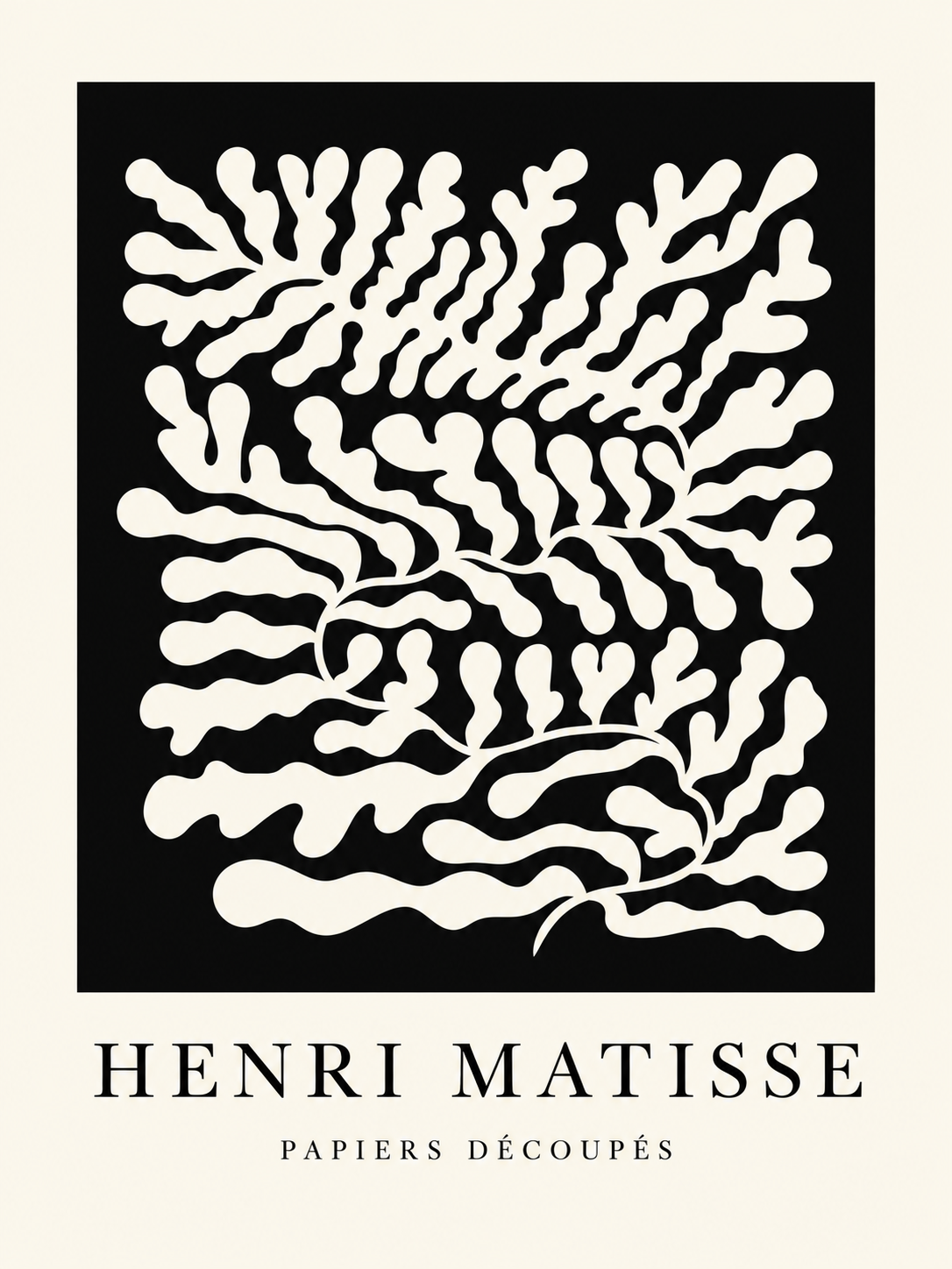 Matisse #151