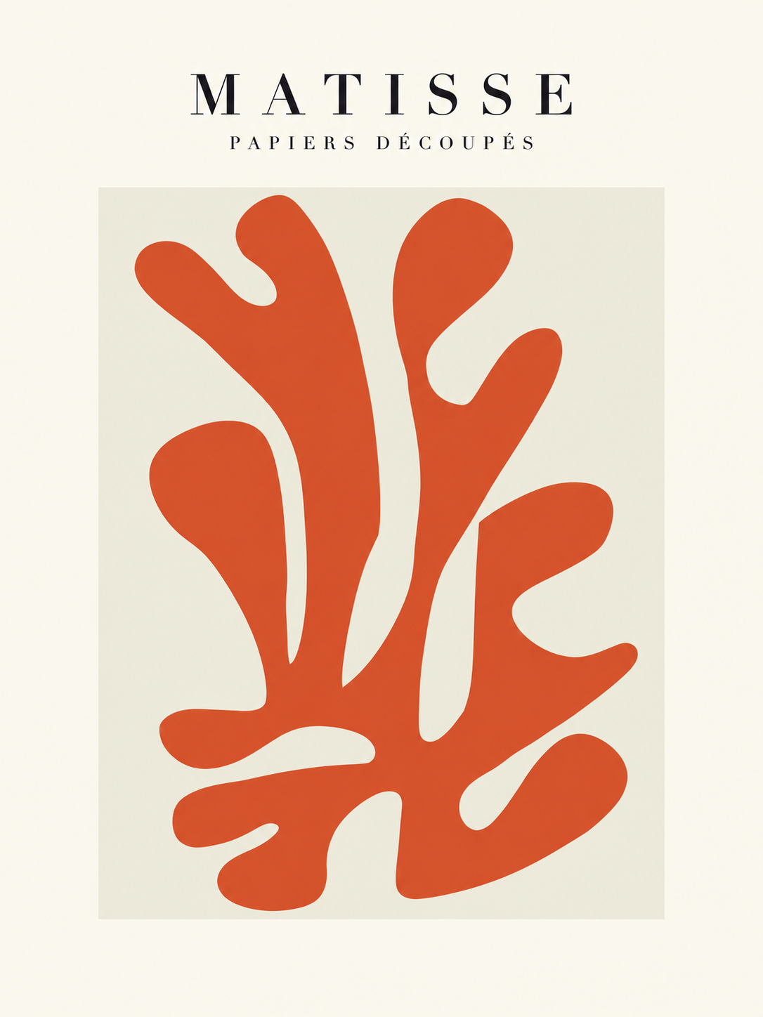 Matisse #167