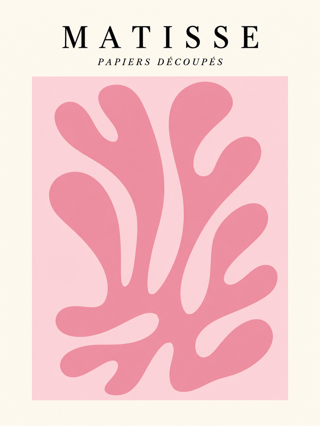 Matisse #178