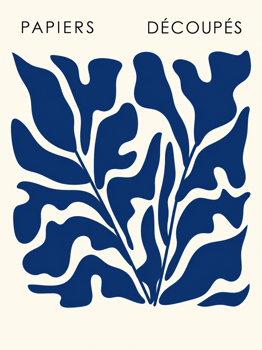 Matisse #204