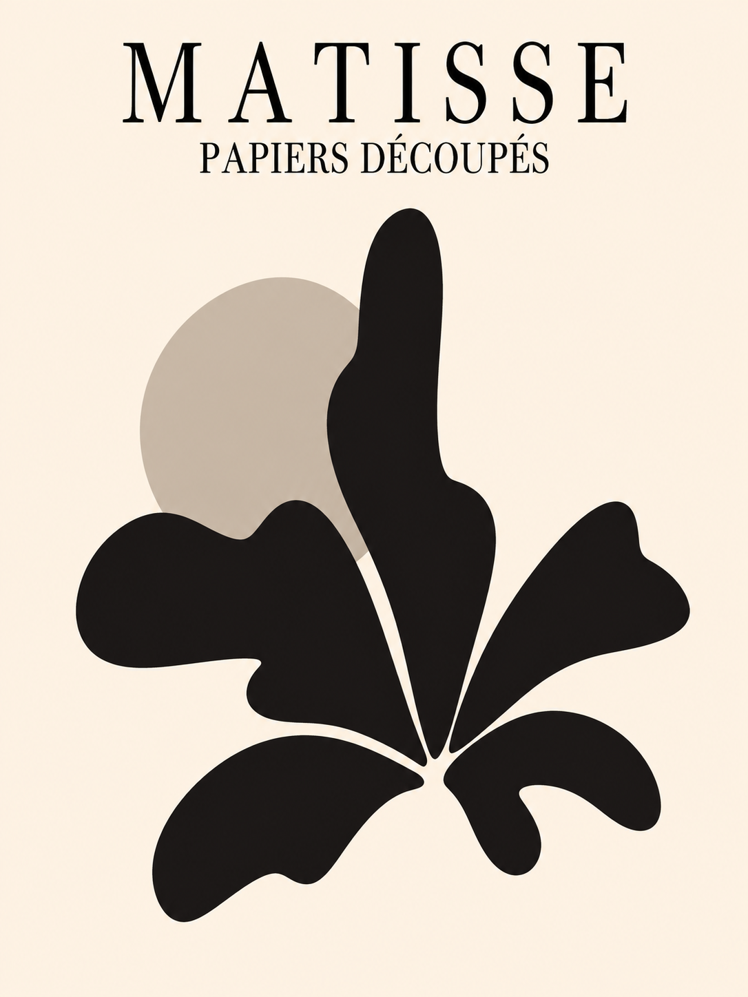 Matisse #211