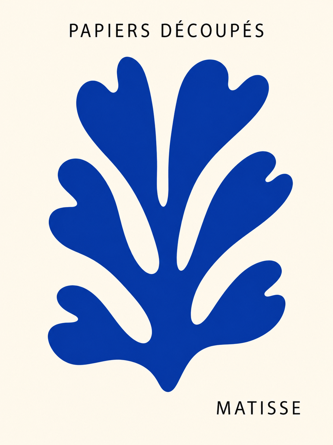 Matisse #245