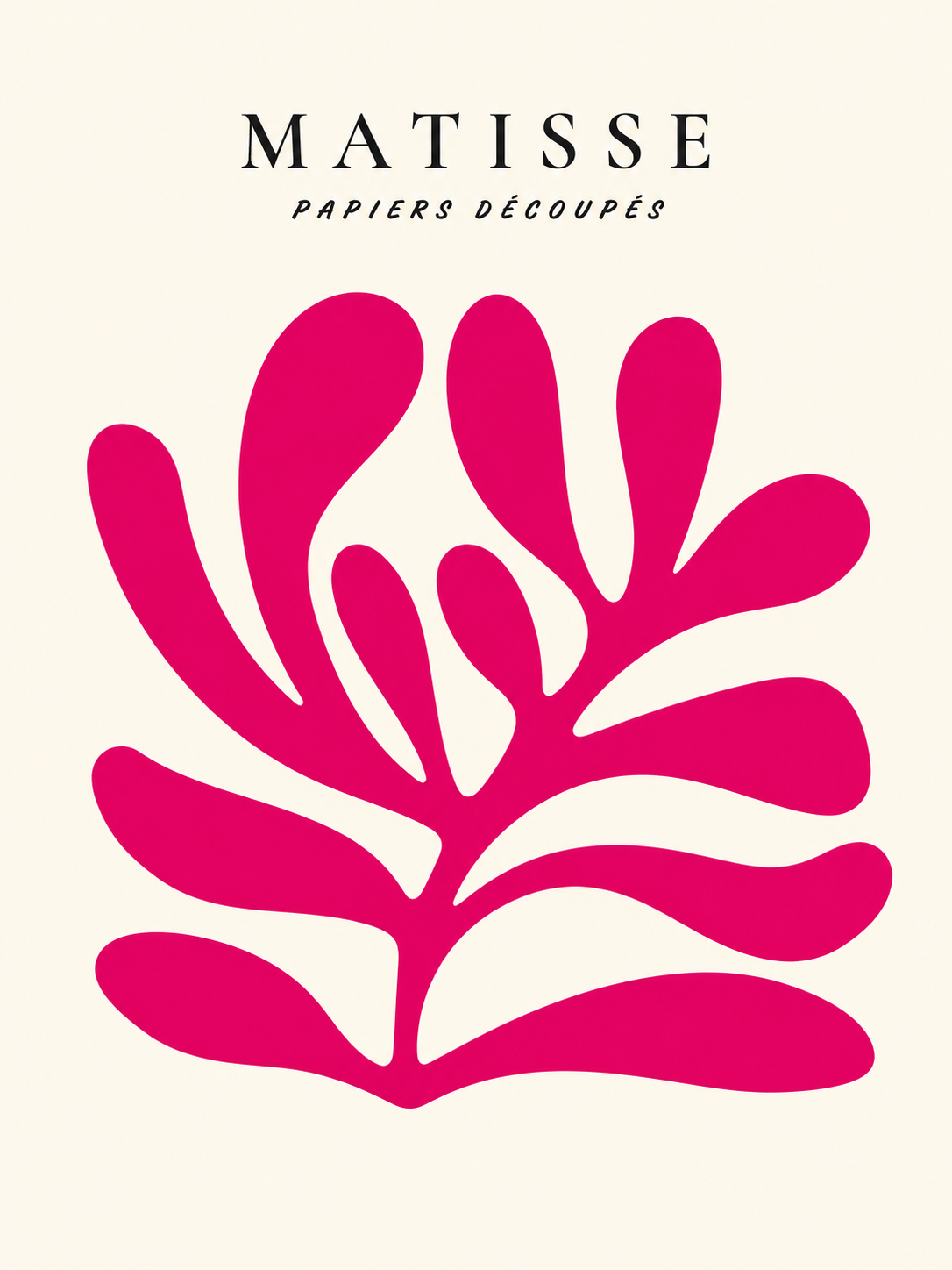 Matisse #255