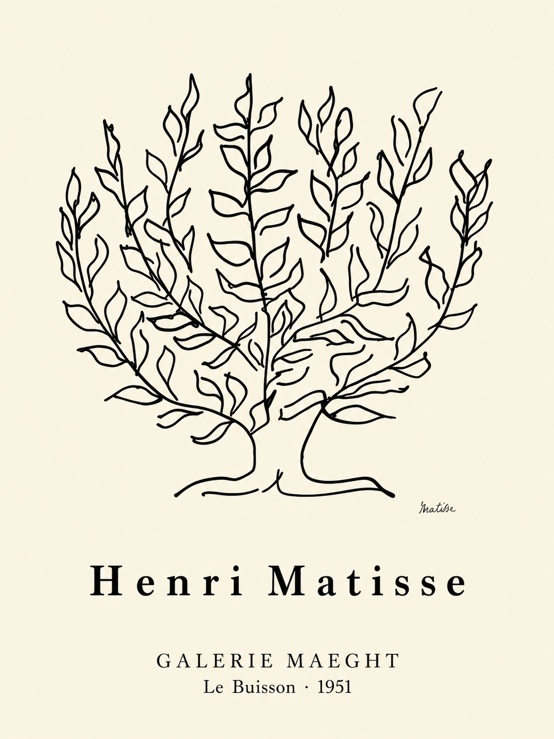 Matisse #31