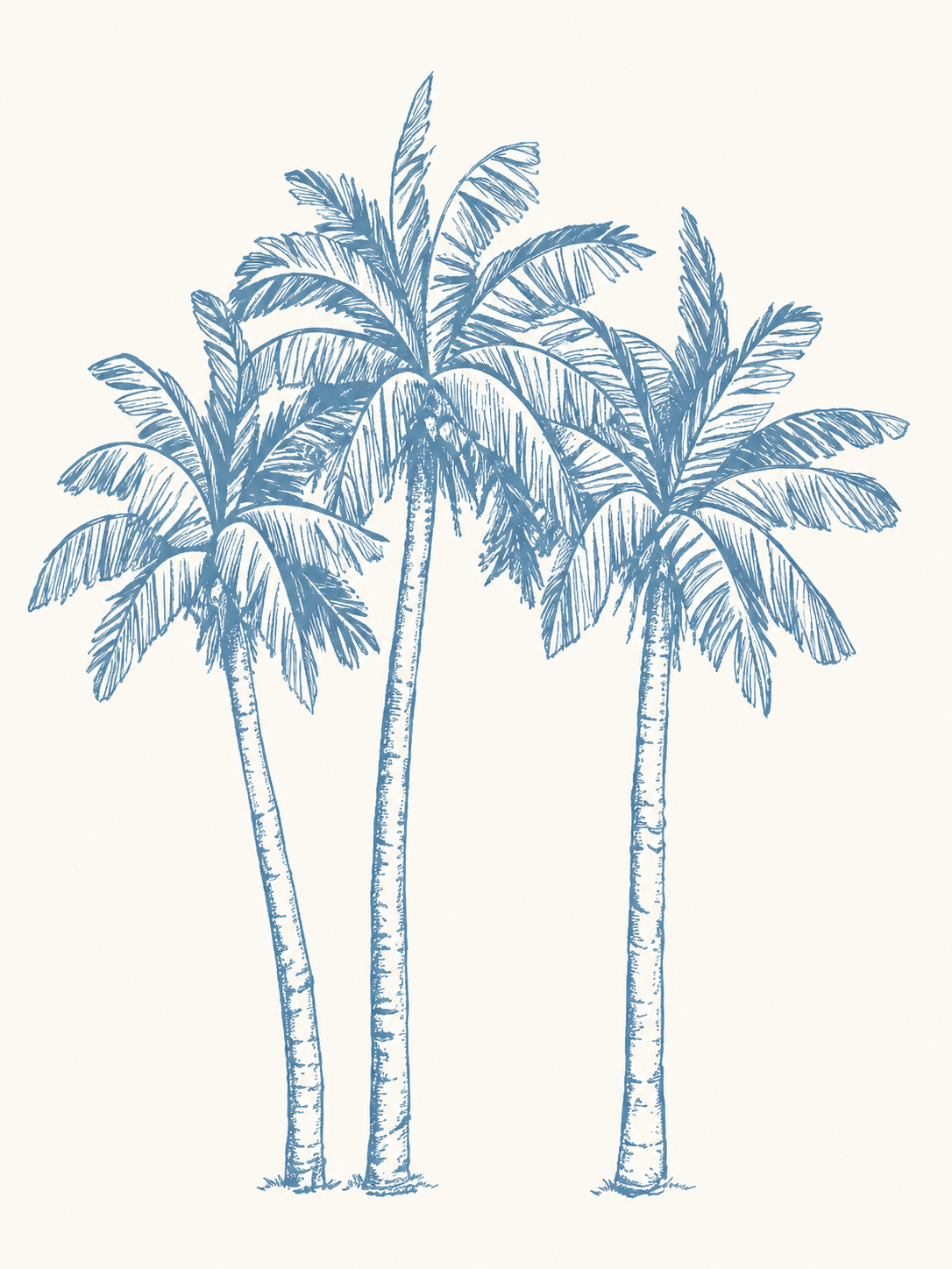 Palmeras Ilustradas