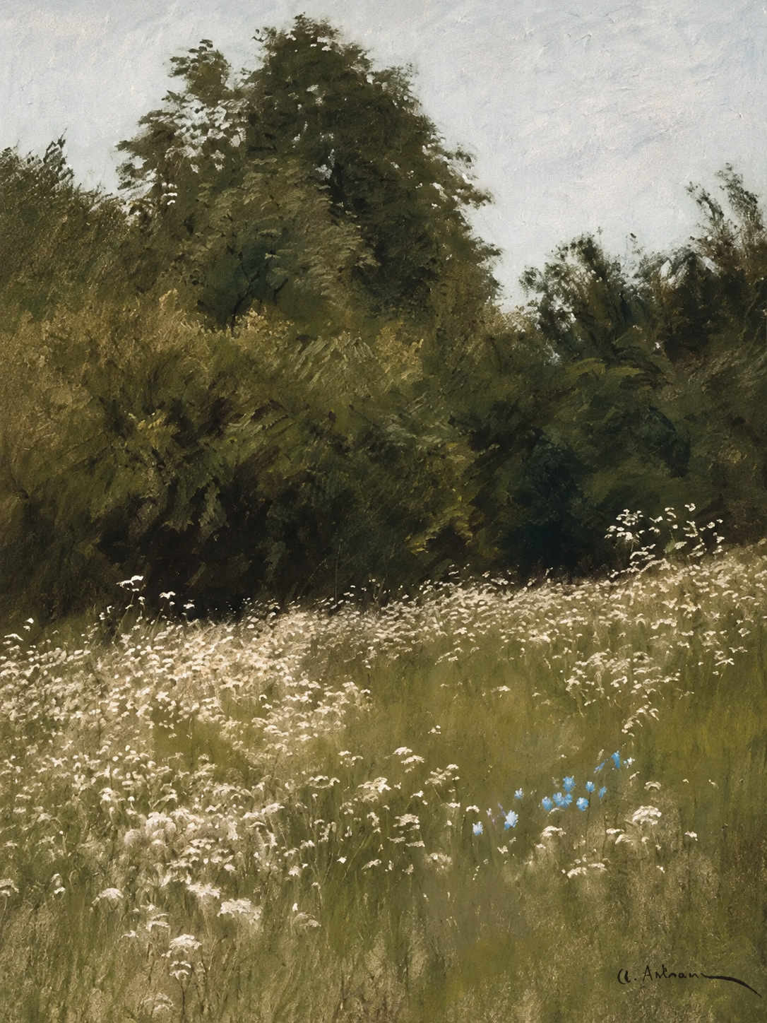 Pradera de Flores Blancas