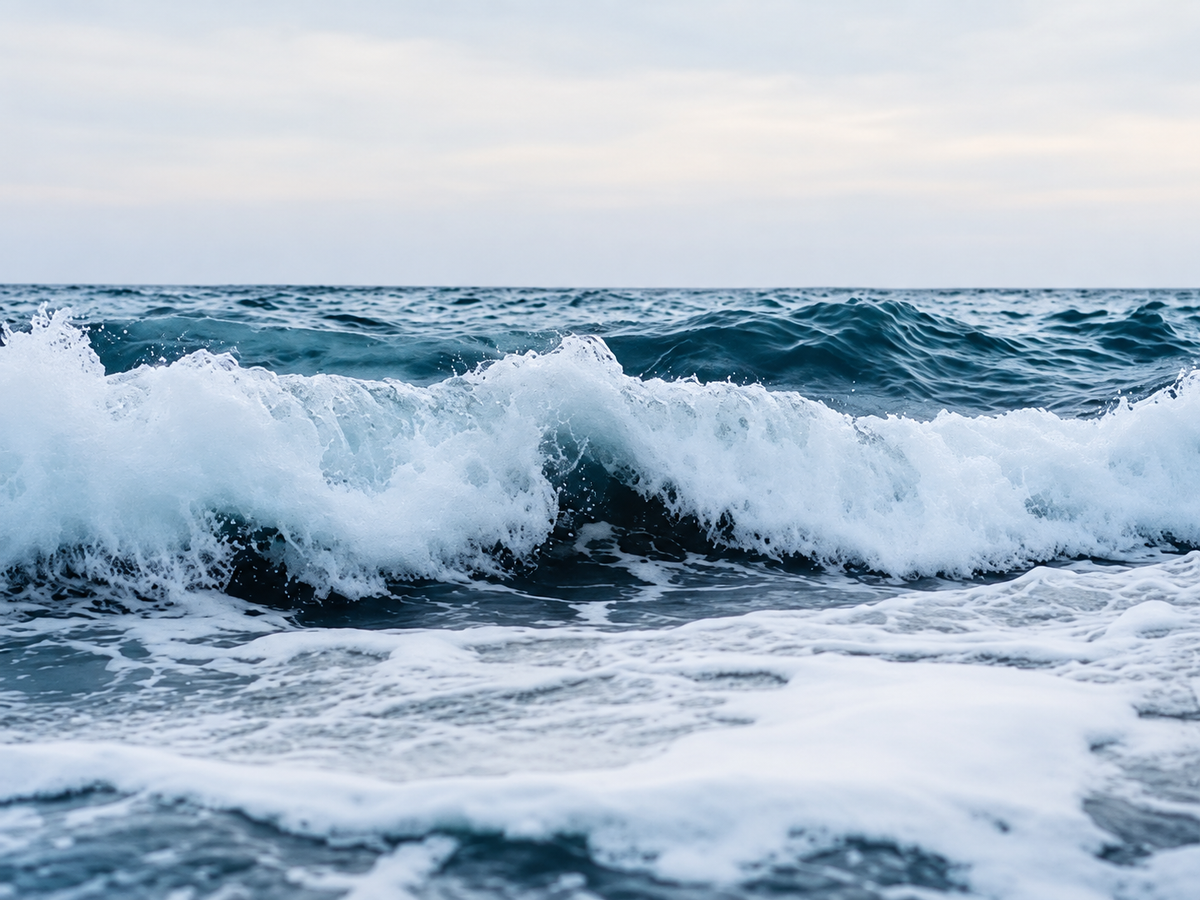 Olas Blancas