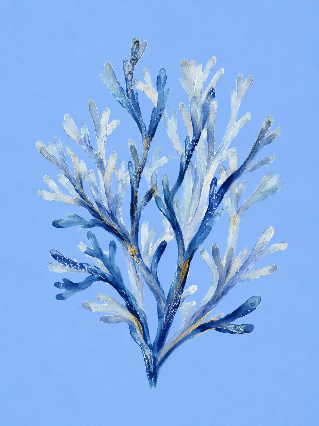 Alga Marina