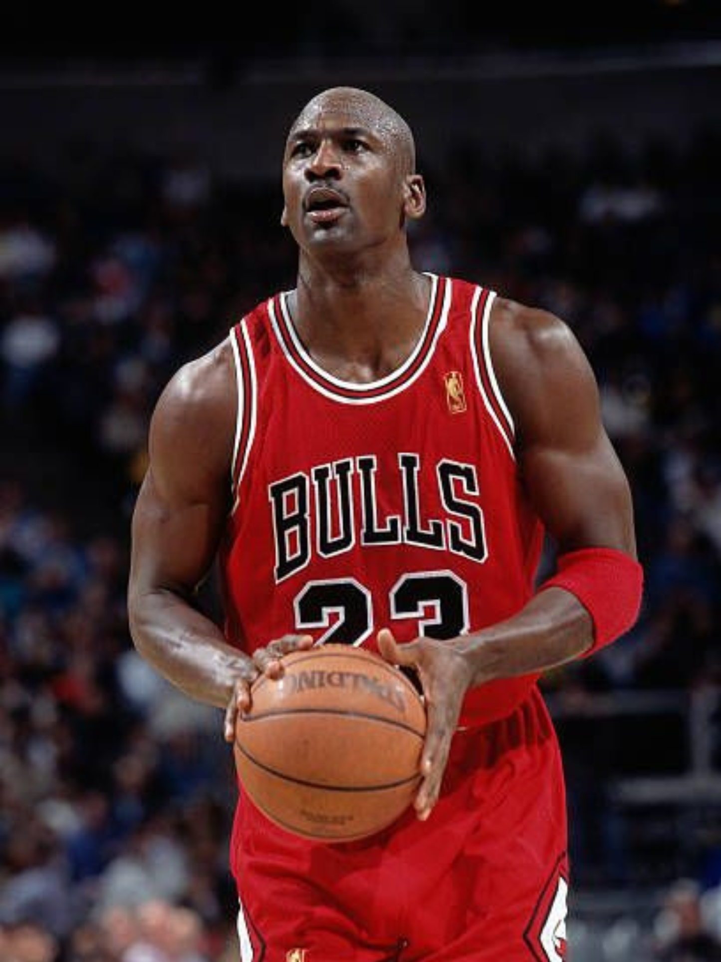 Jordan #3