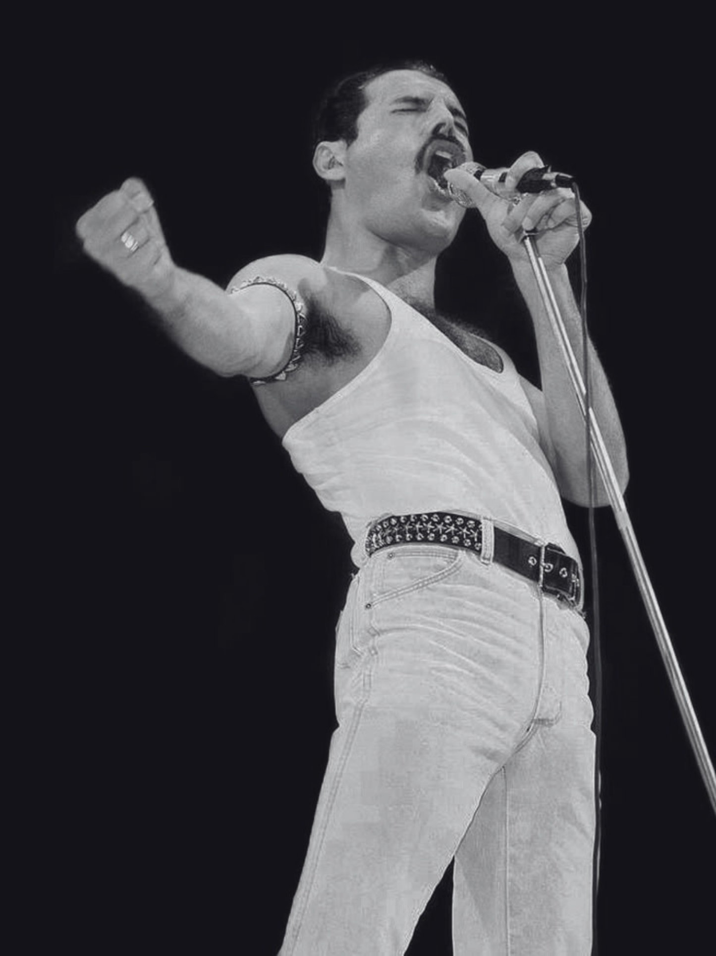 Freddie Mercury