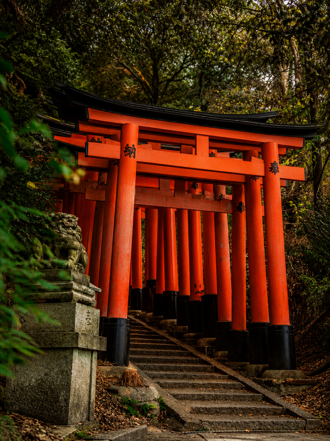 Torii Puerta Mar