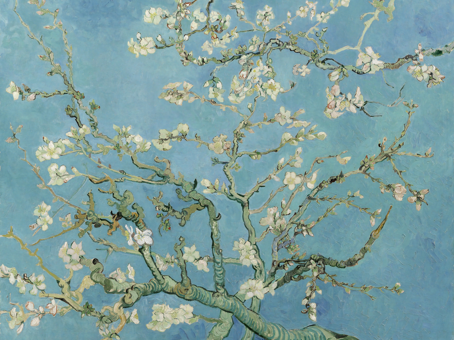 Almendro en flor - Vincent van Gogh
