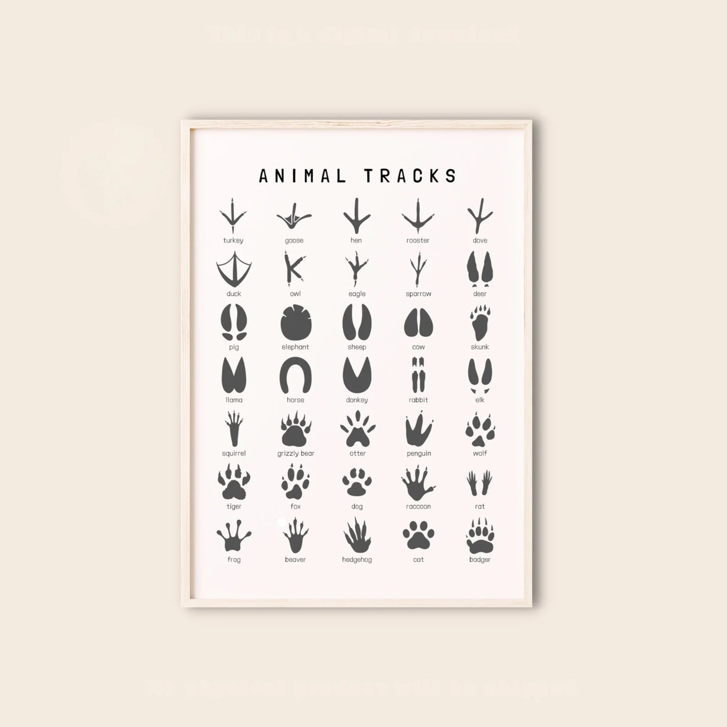 Huellas Animales