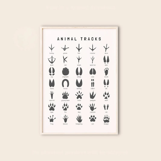Huellas Animales